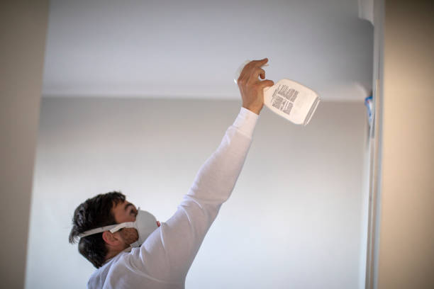 Best Mold Remediation Services  in Eden, NC