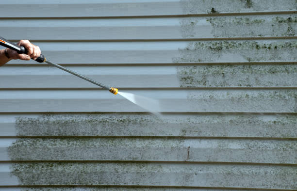 Best Residential Mold Removal  in Eden, NC
